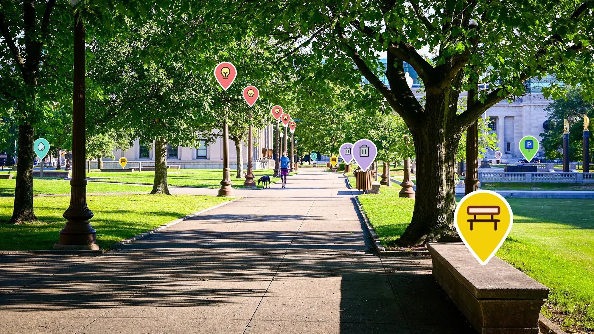 Une allée de parc illustrant les différentes possibilités offertes par vialytics.