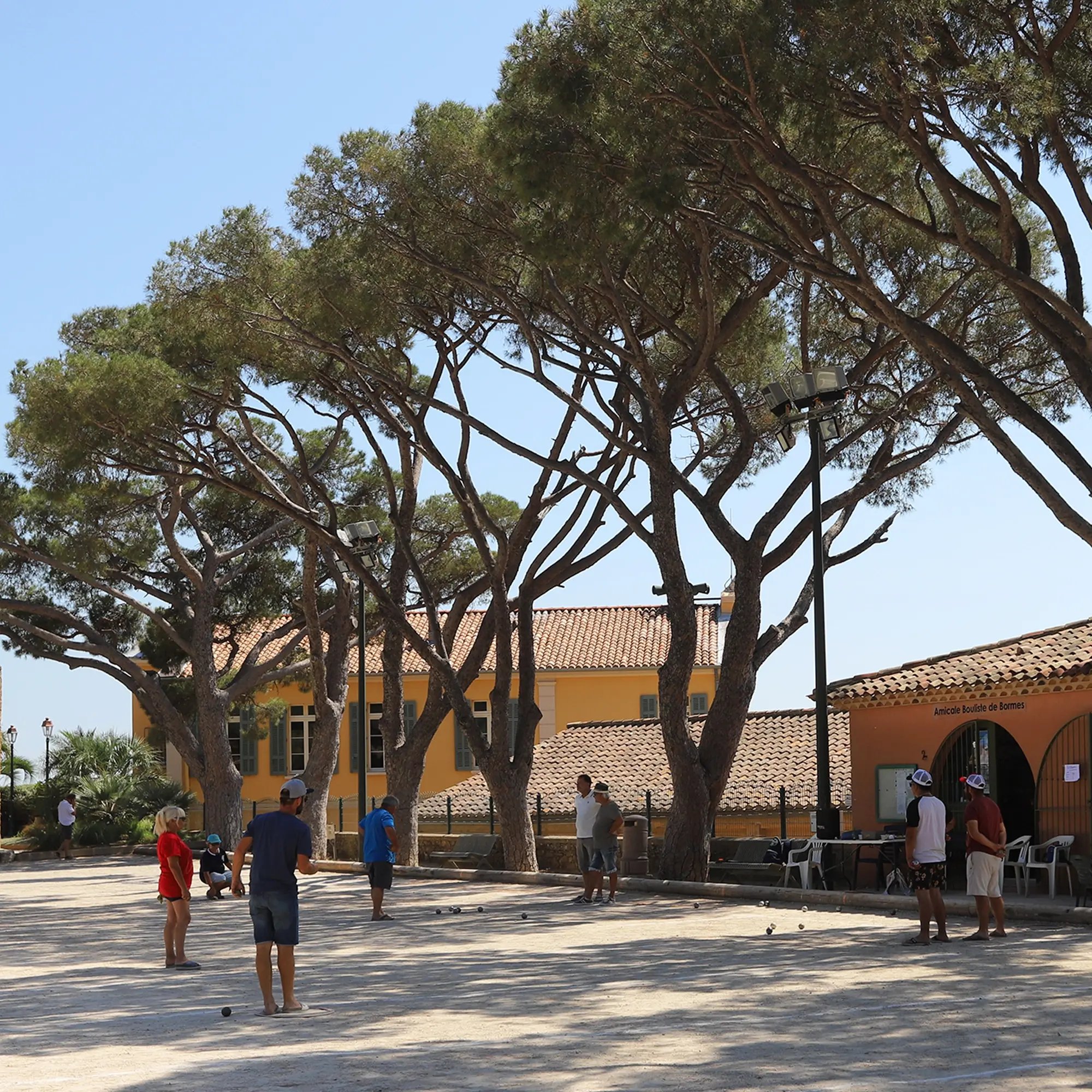 Bormes-les-mimosas4