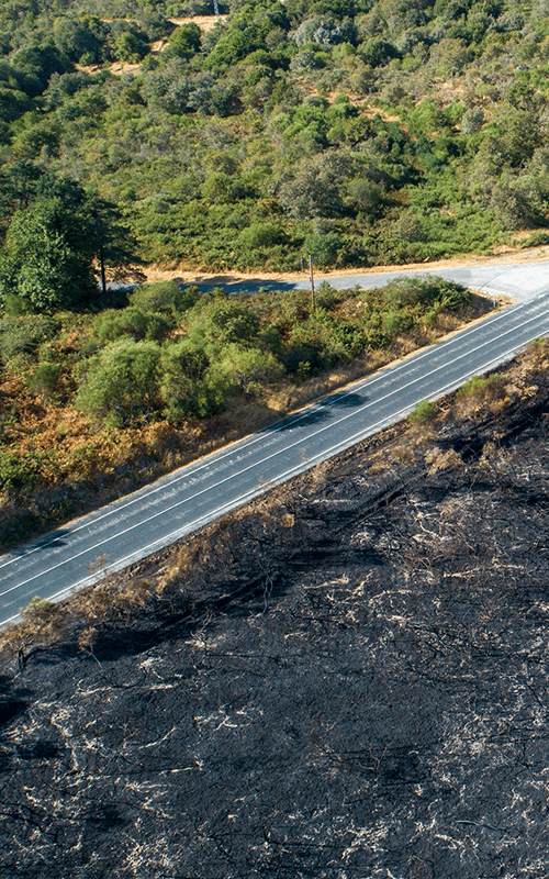 route_departementale_incendiee