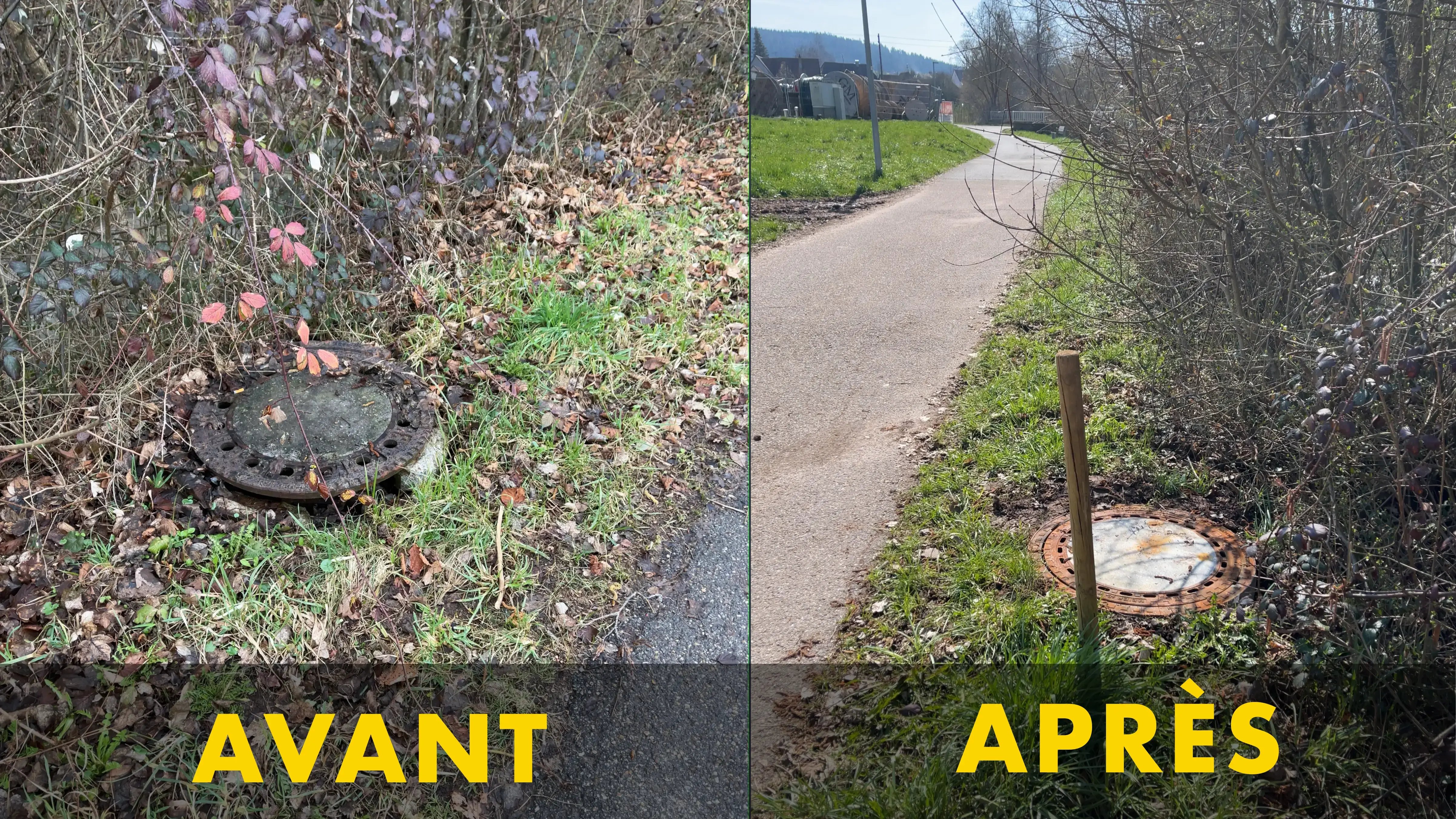 Visuel d'illustration pour représenter un avant après