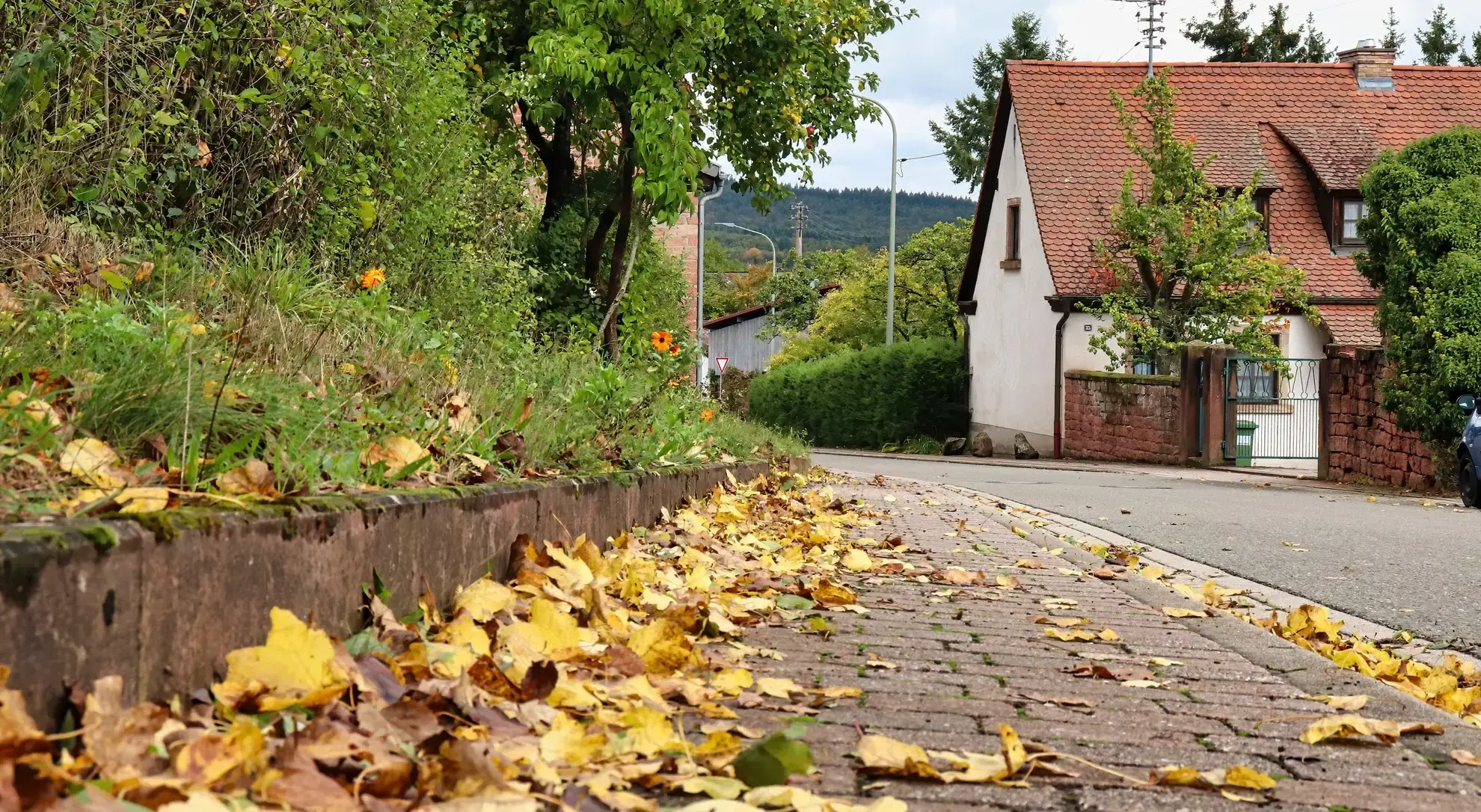 Inventaire et gestion des trottoirs